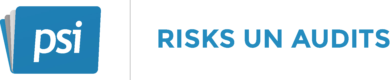 PSI_risks_un_audits_logo.jpg